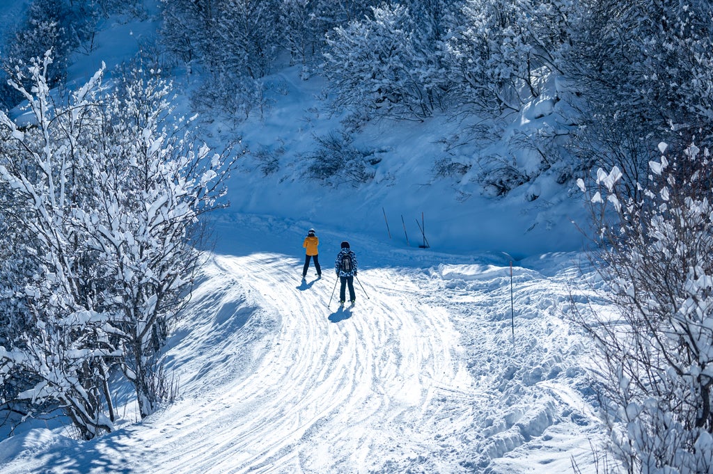 20250103 M.Bree OT MENSMB expinf-17