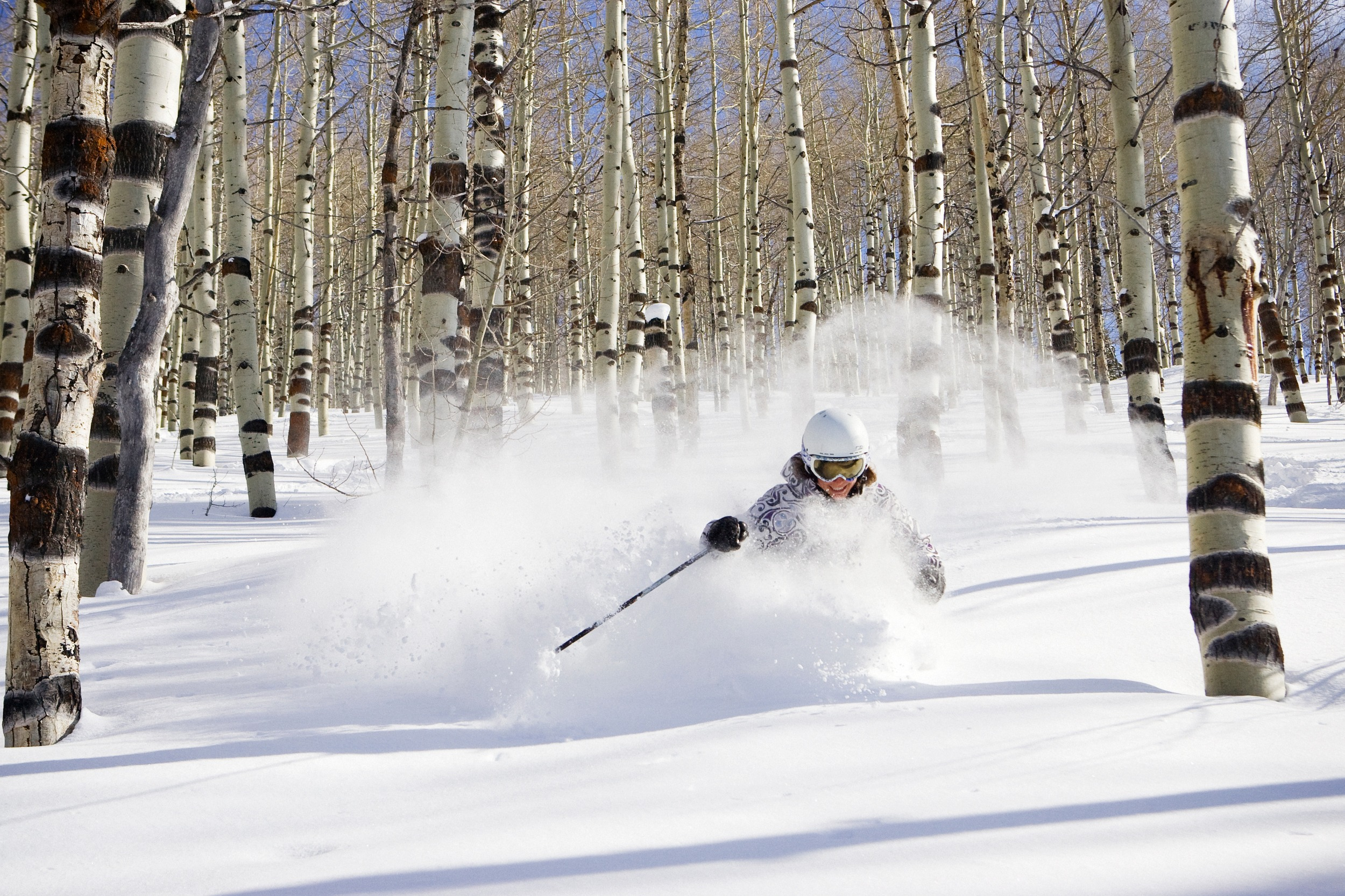 Powder Mountain