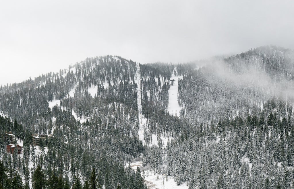 Heavenly Mountain_Forested Slope View_(c): Jimmy Pollock