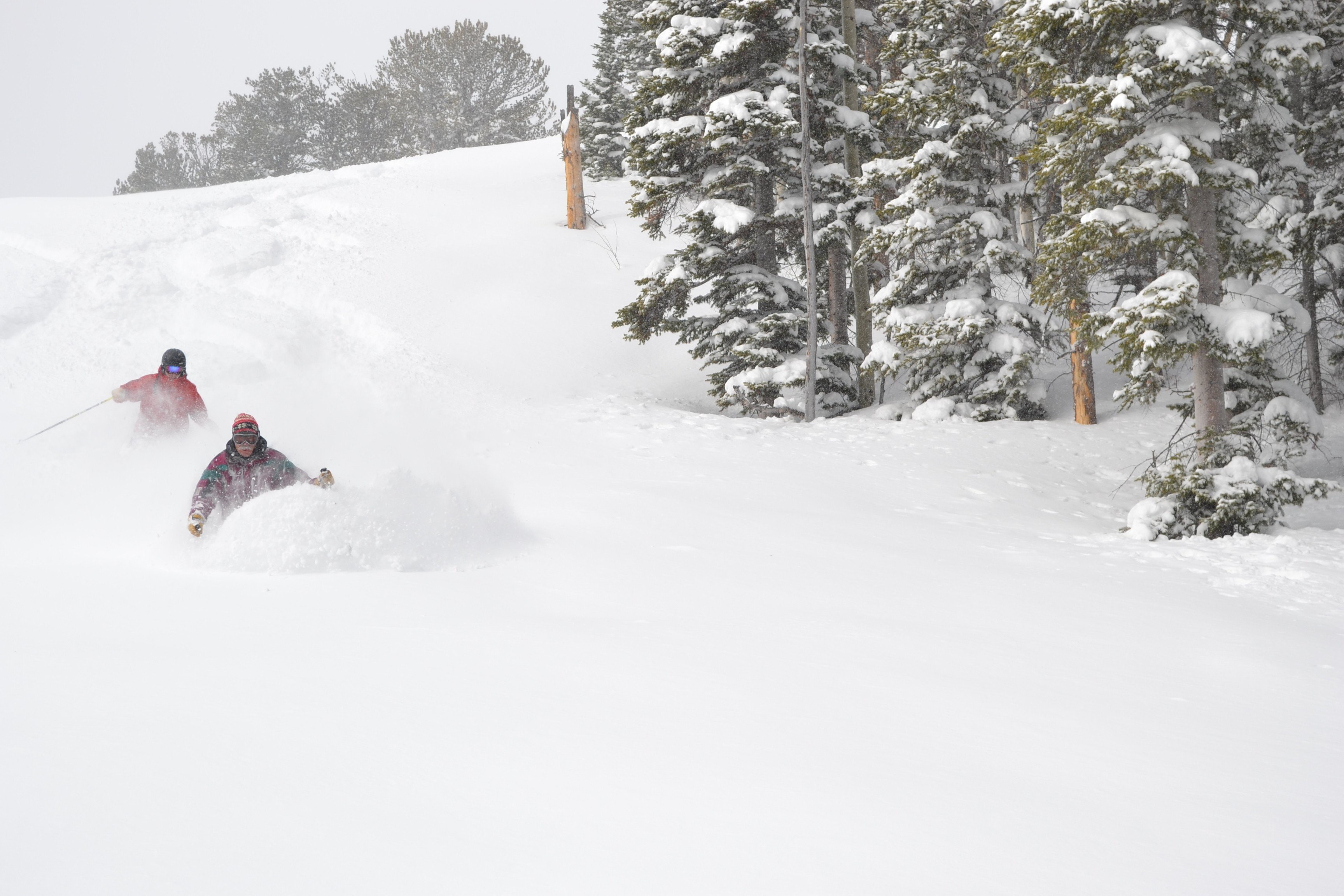 Snowy Range Ski & Recreation Area
