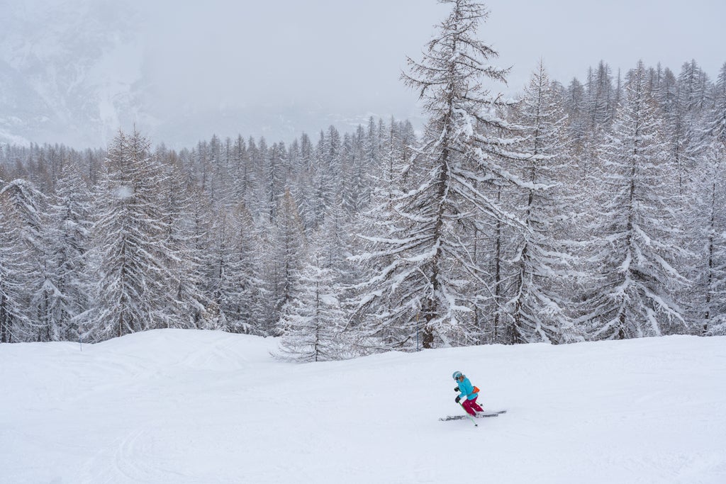 Puy St. Vincent_Skiing Fresh Snow_(c): Roger van Rijn