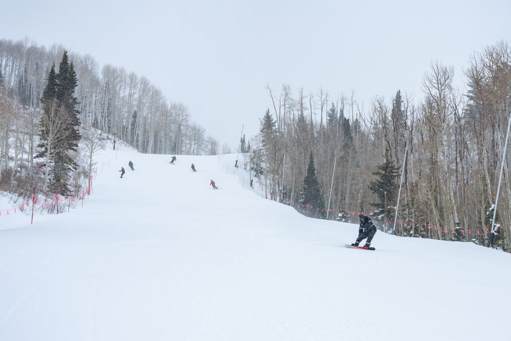 Park City_Slope Run_(c): Park City/Vail Resorts