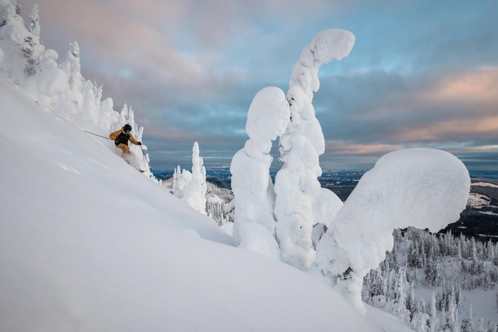Medium-2400px-29542-Sun Peaks-©Destination BC:Reuben Krabbe