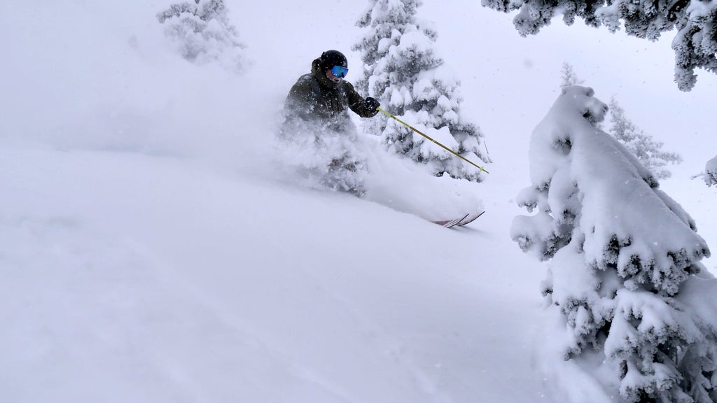 Bridger Bowl, Montana