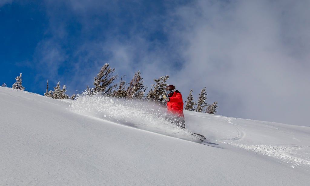 Mt. Hood Meadows_Powder Day_Snowboard_(c): Richard Hallman