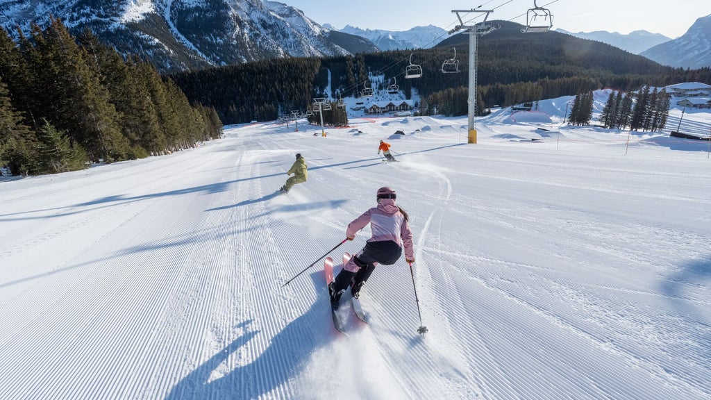 Mount Norquay_Skiers Snowboarders_Groomed Slope_(c): SkiBig3 / Reuben Krabbe