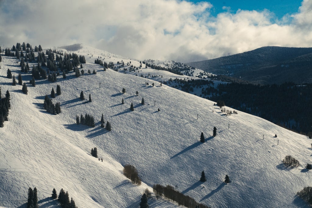 Vail Resort_Off-piste Tracks_(c): Vail Resort/Eric Dunn