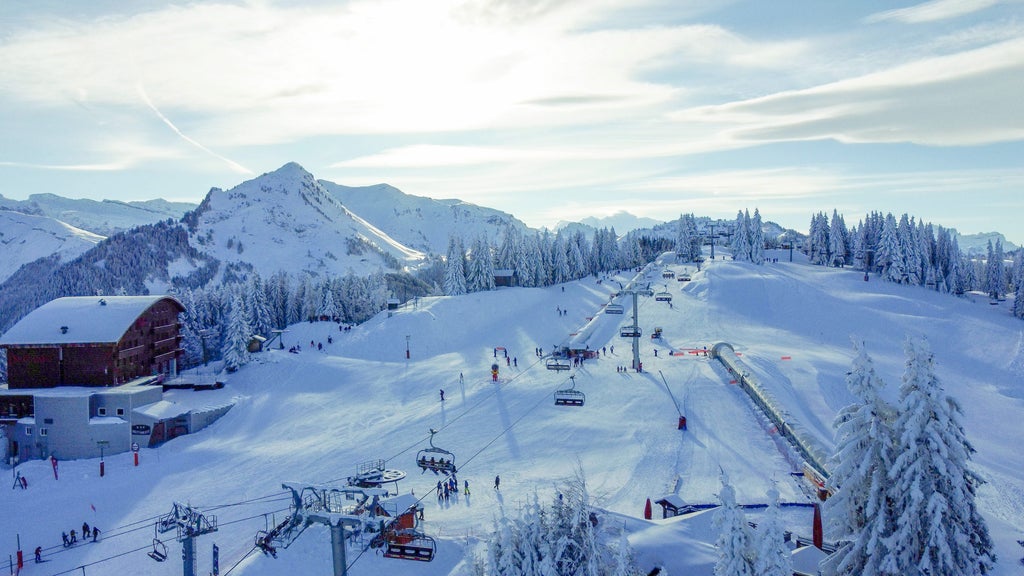 Morzine_Pleney Area Winter Scene_(c): Morzine(c): Domaine de Loisirs de Morzine