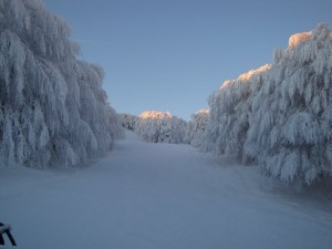 Monte Fumaiolo
