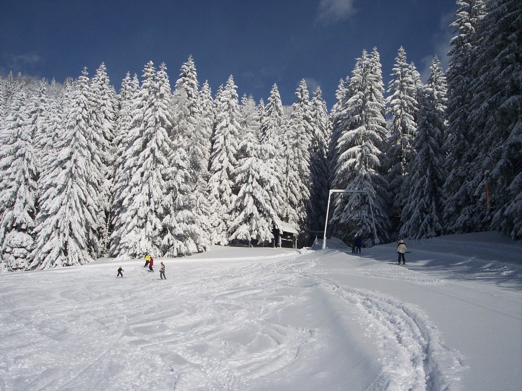 Sonnberglifte Wald am Schoberpass