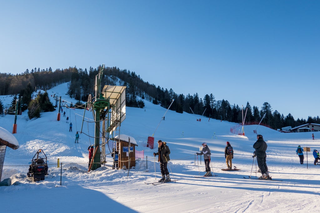 Lispach-alpin(7)©OT