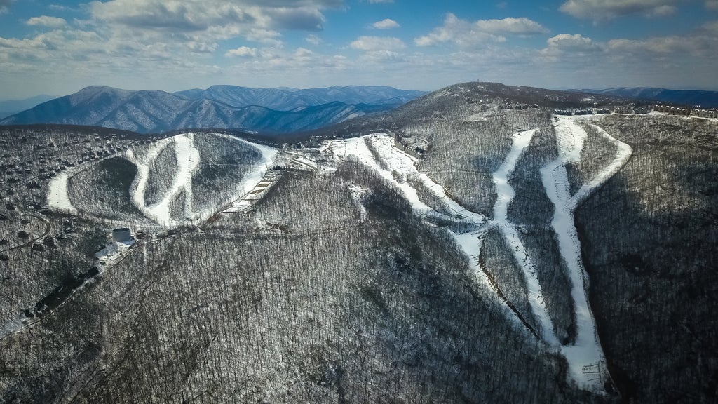 Wintergreen IMG 0927