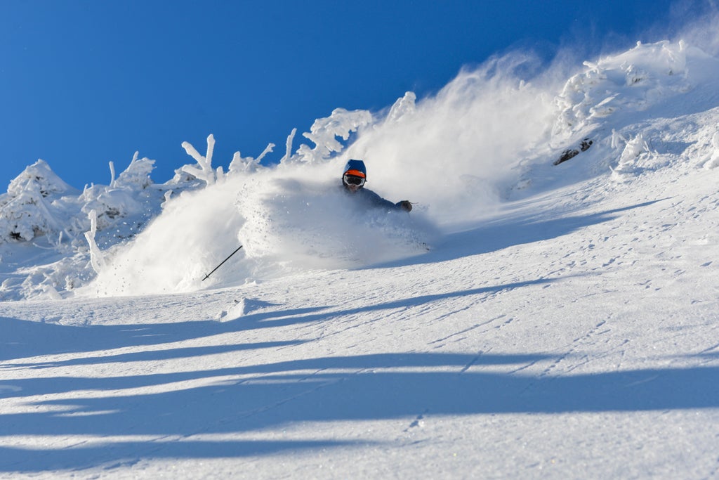 Dec8 Bluebird Powder Tim Fater 06