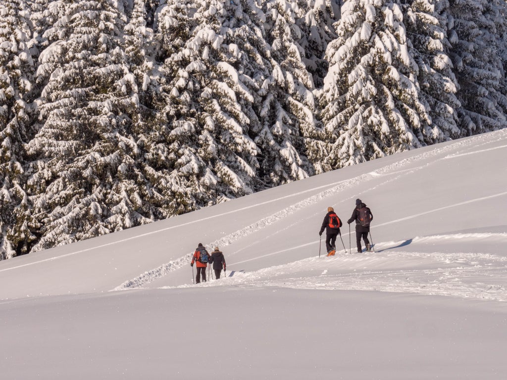 Megeve_Group Snowshoe Hike_(c): Gabriel Zacharski