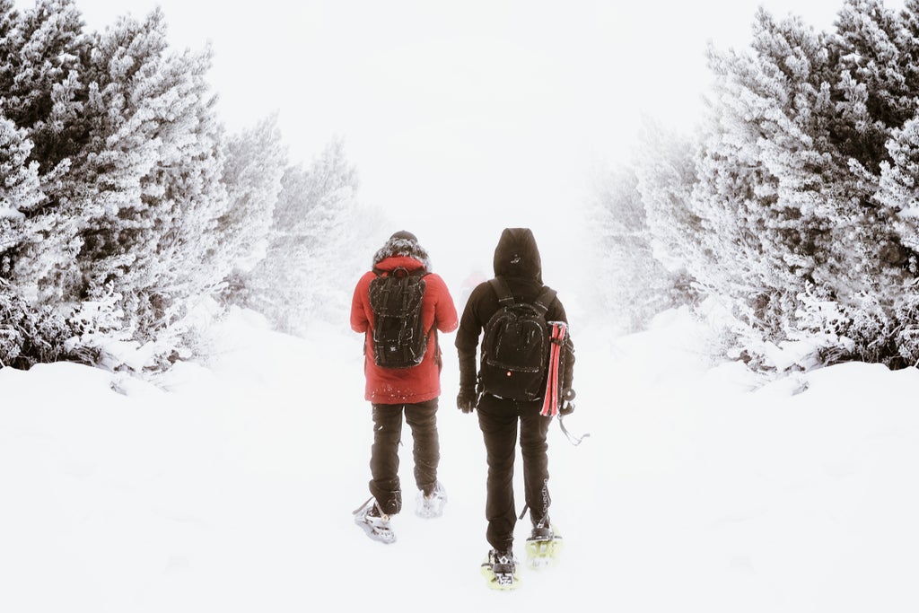 Ciaspole inverno DP 2019 @awaketillmorning (Michele Gobbi) (8)