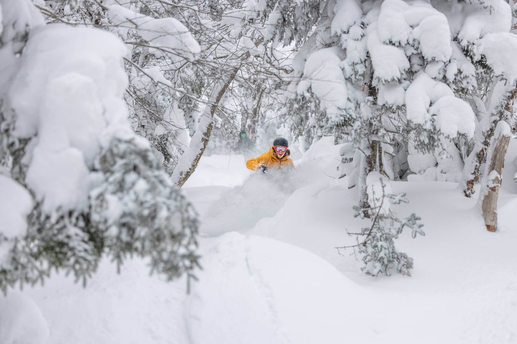 Jan-26-2026 Powder Historic-300-Inch Record-Season 01 (1)