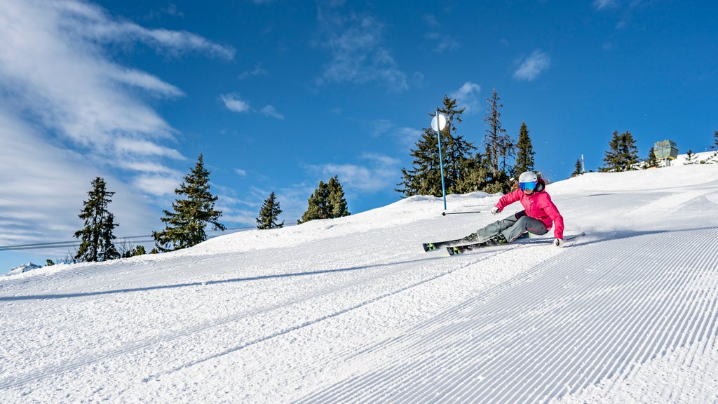 St Anton am Arlberg_Female Skier Carve_(c): TVB St. Anton am Arlberg / Patrick Bätz
