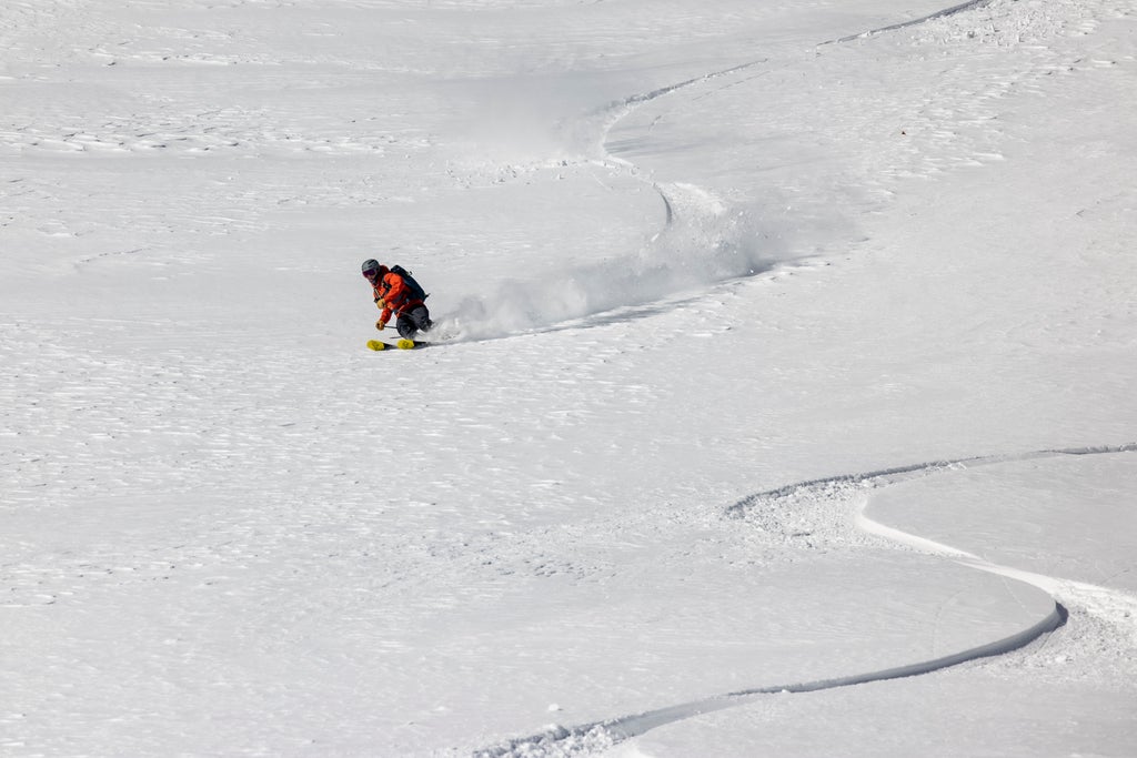 Snowbird_Powderbird Experience_Skier in Untouched Snow_(c): Jay Dash