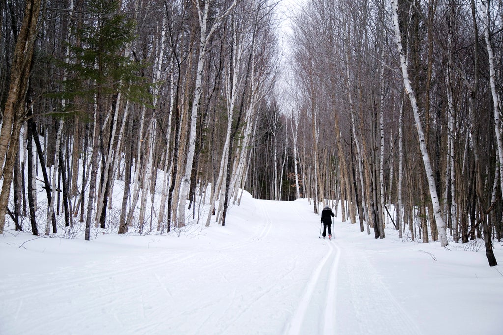 Waterville Valley_Forest Cross Country Ski_(c): Waterville Valley Resort