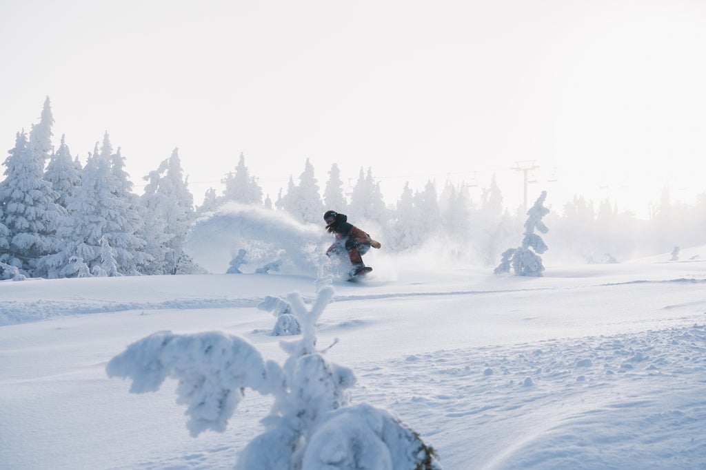 Mt. Bachelor_Snowboard_Powder_Frost_(c): Mt. Bachelor