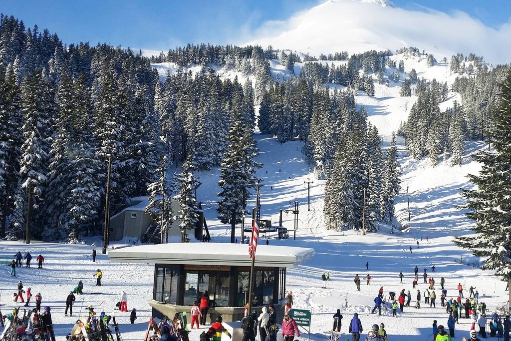 Mt. Hood Meadows