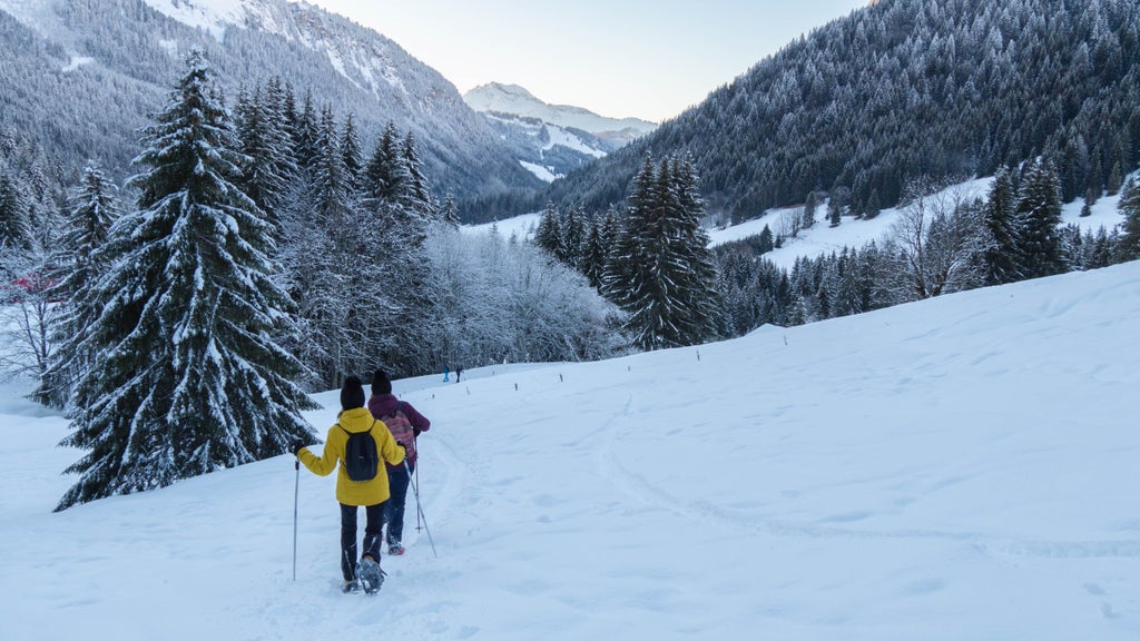 Morzine_Snowshoe hiking_(c): Juliette Revol