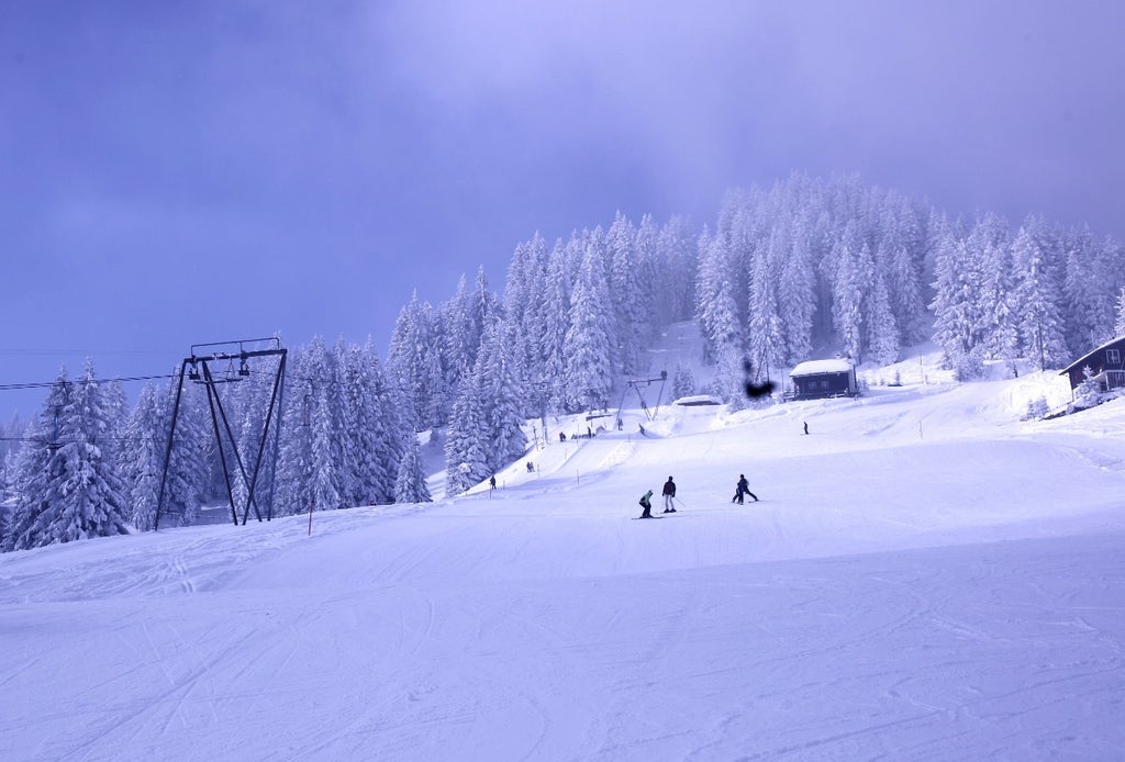 Das kleine Skigebiet Selital im Kanton Bern (Selital, a small resort in the canton of Bern). © SchneeSelital