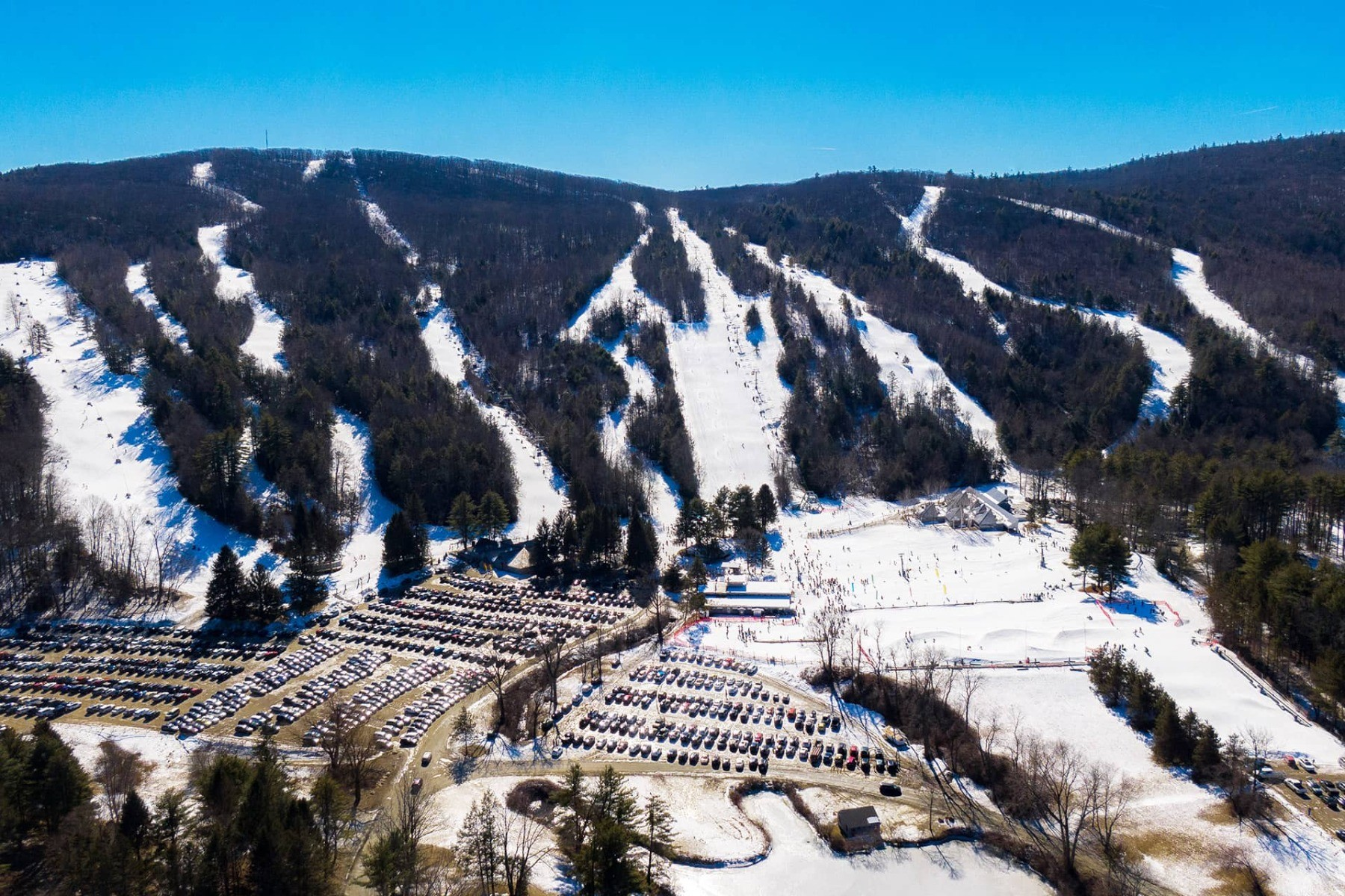 Ski Butternut
