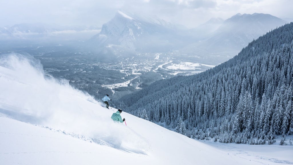 SB3-2024-MtNorquay CREDIT ReubenKrabbe 09