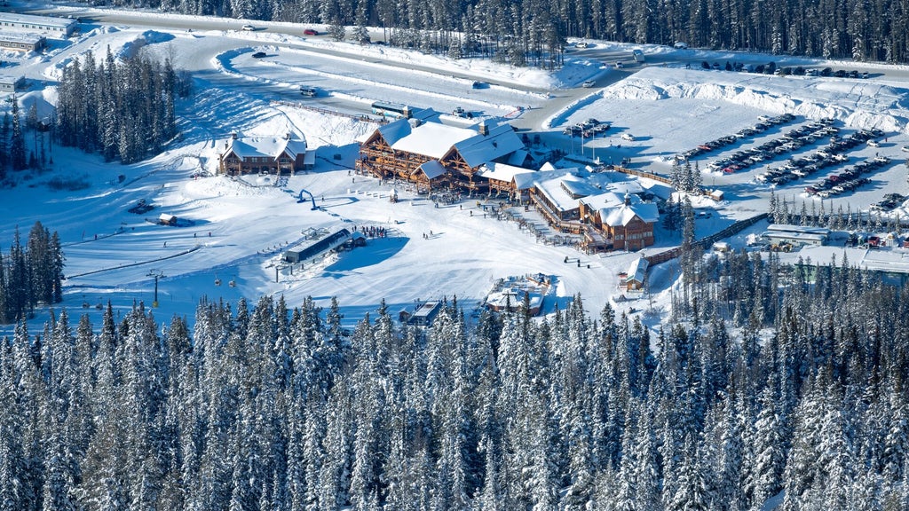 Lake Louise_Base Area Aerial_(c): SkiBig3 / Reuben Krabbe