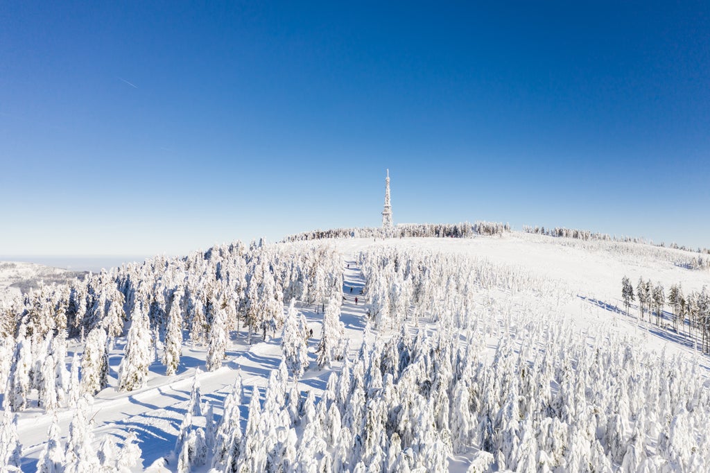 ZIMA 1 © Szczyrk Mountain Resort