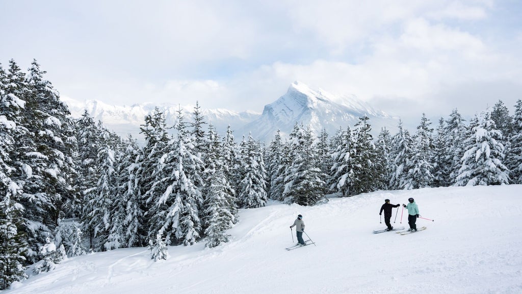 SB3-2024-MtNorquay CREDIT ReubenKrabbe 15