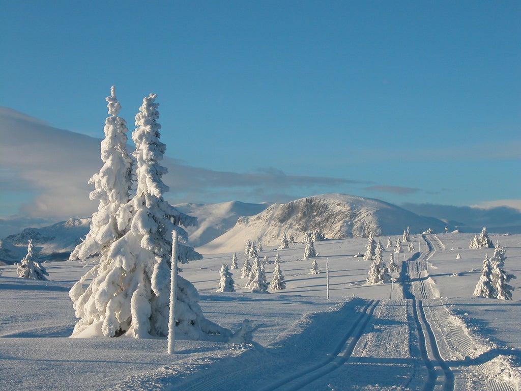 Gol - Storefjell