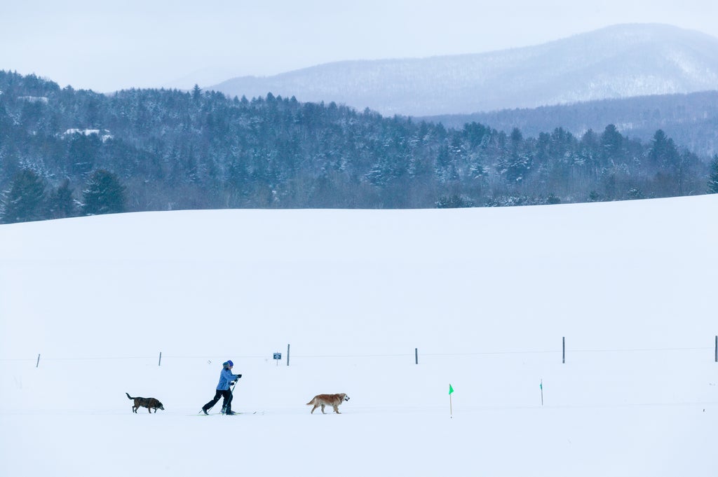 Stowe Mountain Resort_Editorial Only_Cross Country Skiing Dogs_Shutterstock