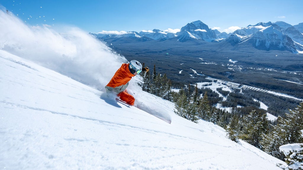 Lake Louise_Skier Carving_(c): SkiBig3 / Reuben Krabbe