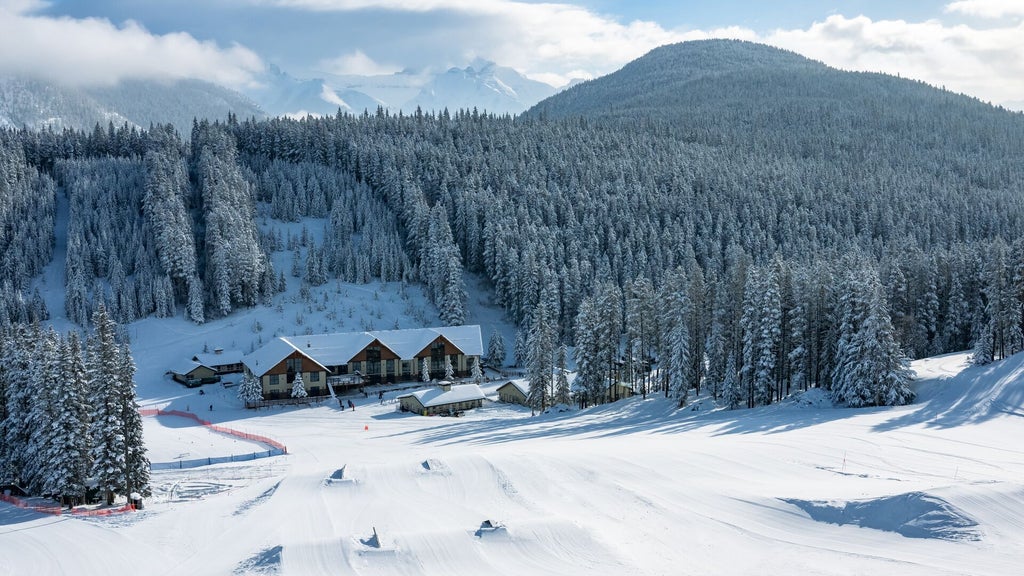 SB3-2024-MtNorquay CREDIT ReubenKrabbe 02