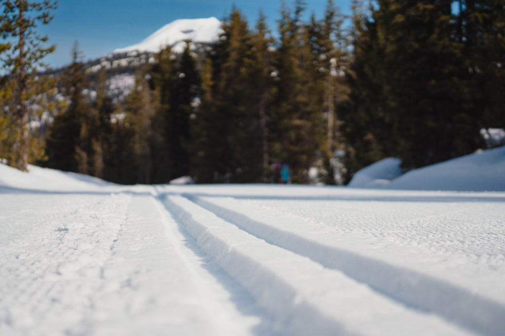 Mt. Bachelor_Ski Tracks In Fresh Snow_(c): Mt. Bachelor