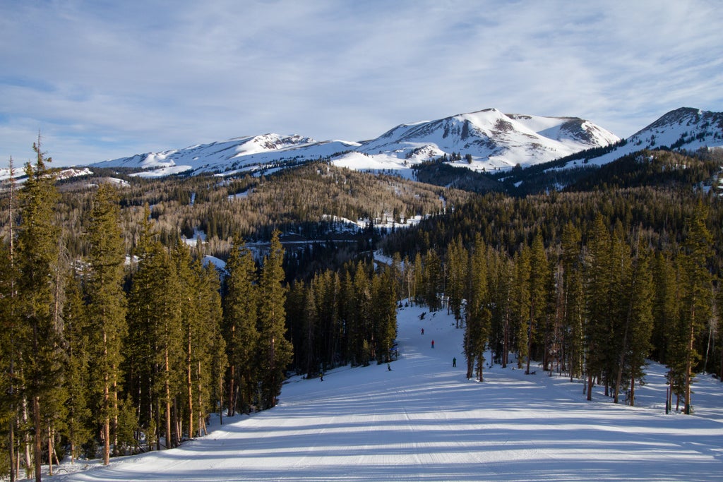 Eagle Point_Groomed Ski Run_(c): Eagle Point Resort