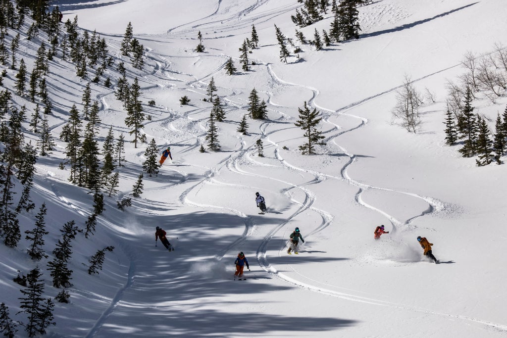 Snowbird_Powderbird Experience_Group Lines_(c): Jay Dash
