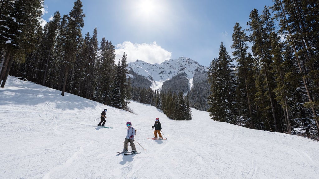 Mount Norquay_Bluebird_Family Skiing_(c): SkiBig3 / Royce Sihlis