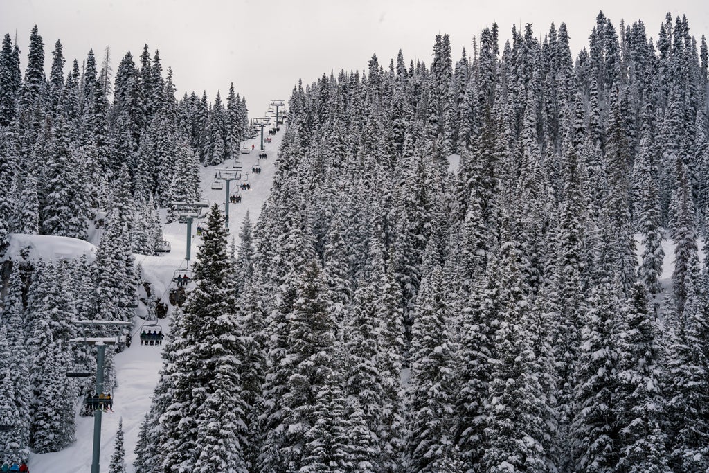 Purgatory_Forest Chairlift Ride_(c): Christian Ridings