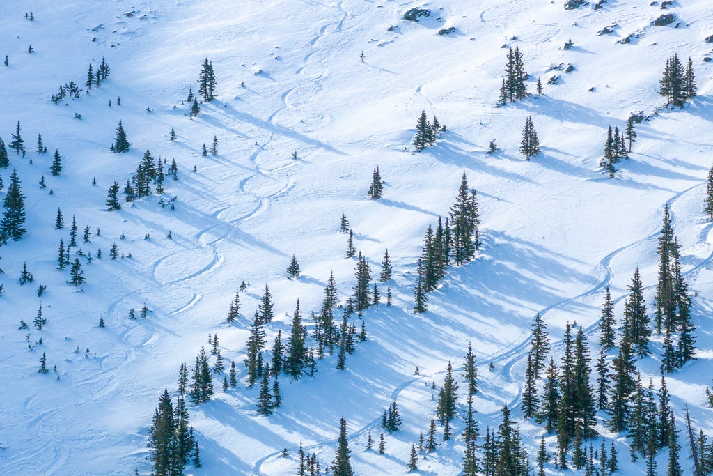 Snowy Ski Runs at AZSB - Courtesy of Arizona Snowbowl (1)