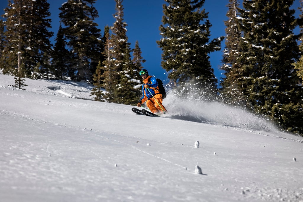 Snowbird_Powderbird Experience_Out of the woods_(c): Jay Dash