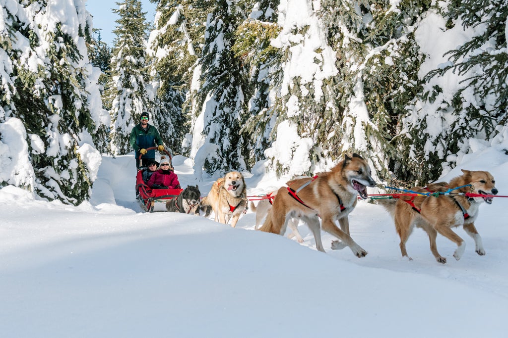 Dogsled TSP SelectionHighres Jan 9