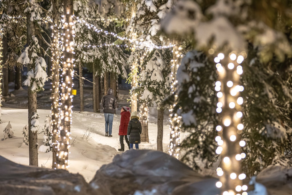 Big White Ski Resort_Enchanted Forest Night Walk_(c): Andrew Jay