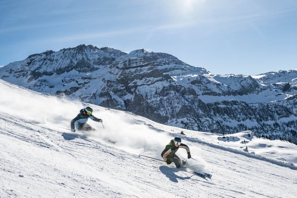 Skifahren am Metsch 2