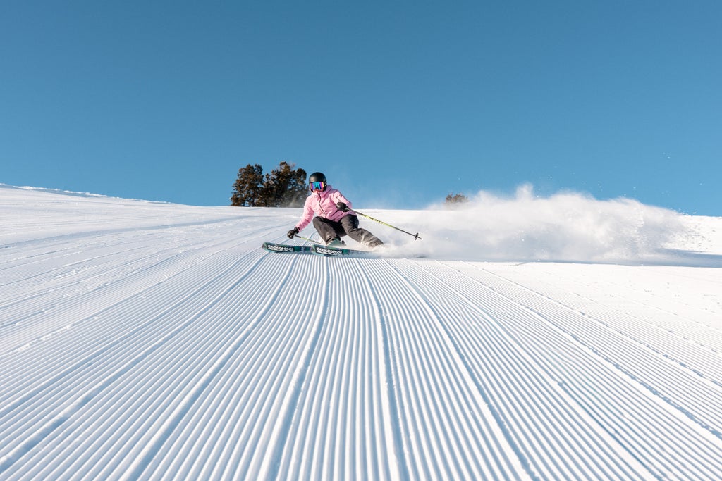SVR Groomer Day Mckenna Peterson 03.14.25 7 1