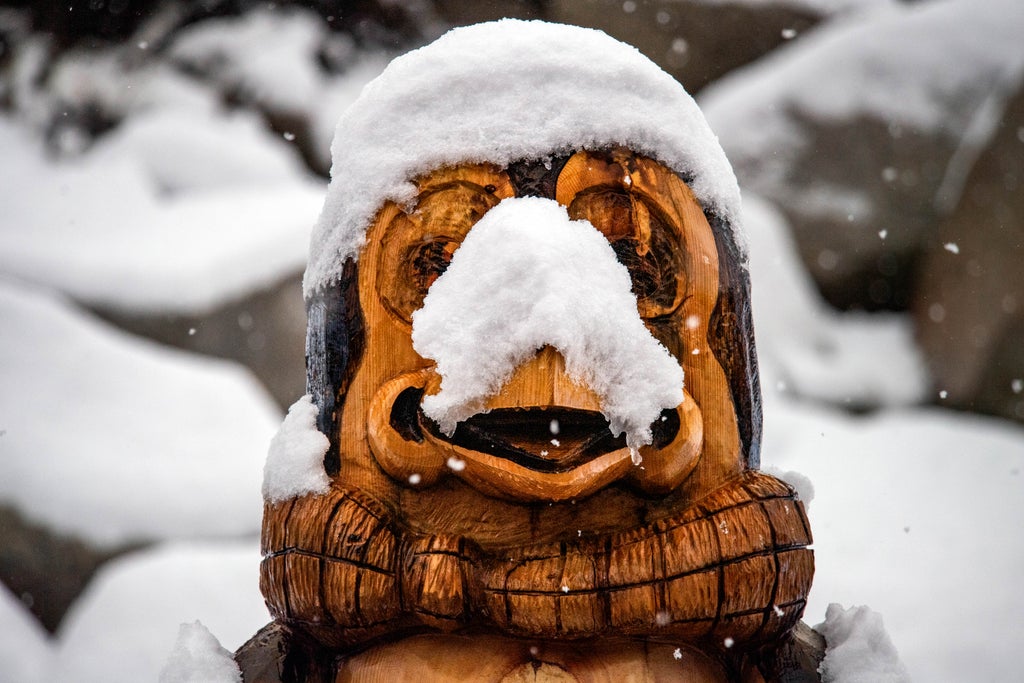Diamond Peak - Fresh snow on Penguin Pete statue - Photo by Jake Pollock