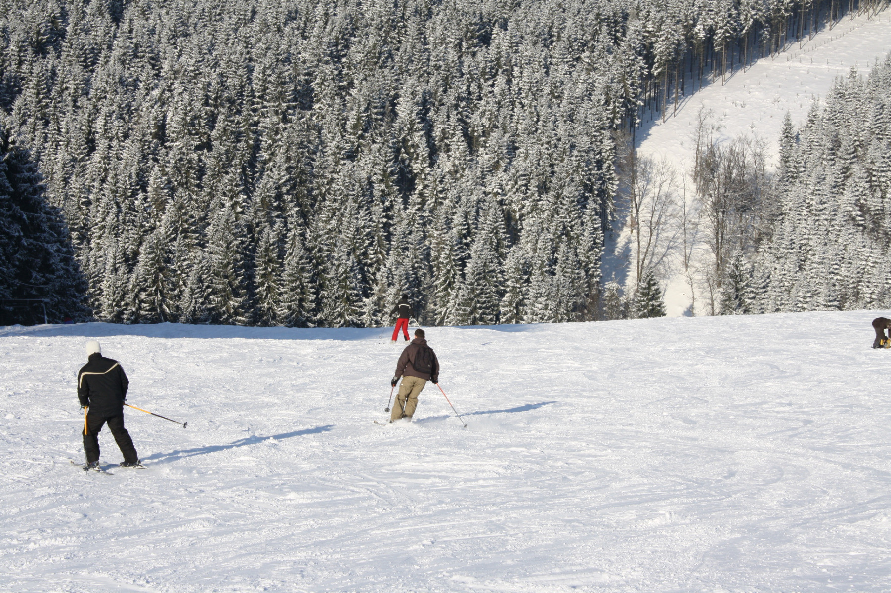 Piste Ski Alpin Ovifat