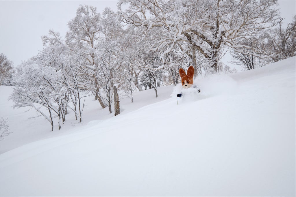 Kiroro_Mascot Powder Skiing_(c): Kiroro Resort